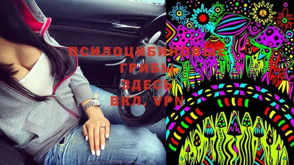 спайс Арсеньев