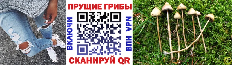 даркнет сайт  Саров  Галлюциногенные грибы мухоморы 